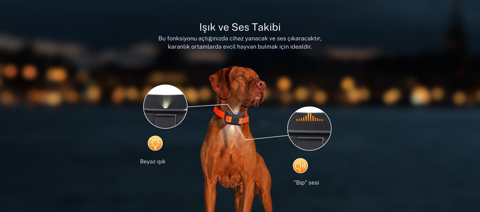 MP50G%20Evcil%20ve%20Büyükbaş%20Hayvan%20GPS%20Uydu%20Takip%20Cihazı