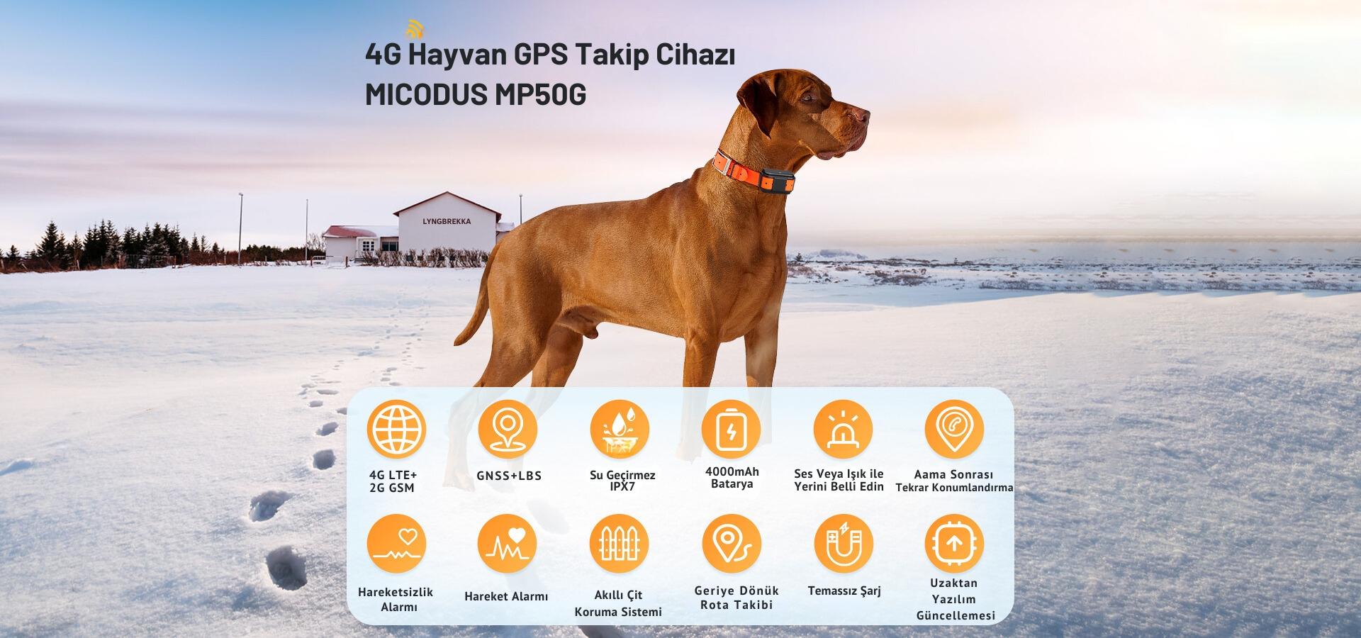 MP50G%20Evcil%20ve%20Büyükbaş%20Hayvan%20GPS%20Uydu%20Takip%20Cihazı