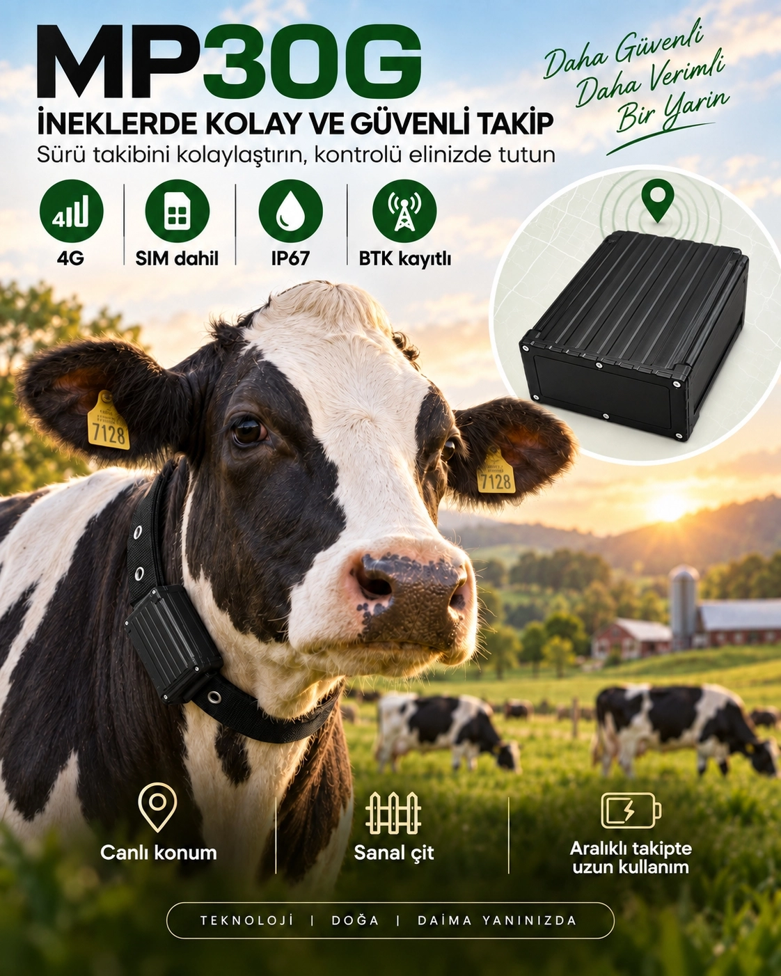MiCODUS MP30G 4G Büyükbaş ve Küçükbaş Hayvan GPS Takip Cihazı | GpsGoPro
