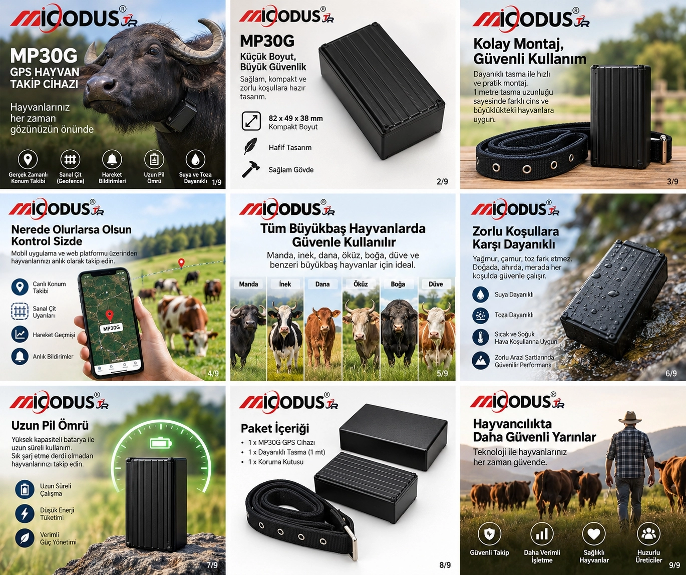 MiCODUS MP30G 4G Büyükbaş ve Küçükbaş Hayvan GPS Takip Cihazı | GpsGoPro