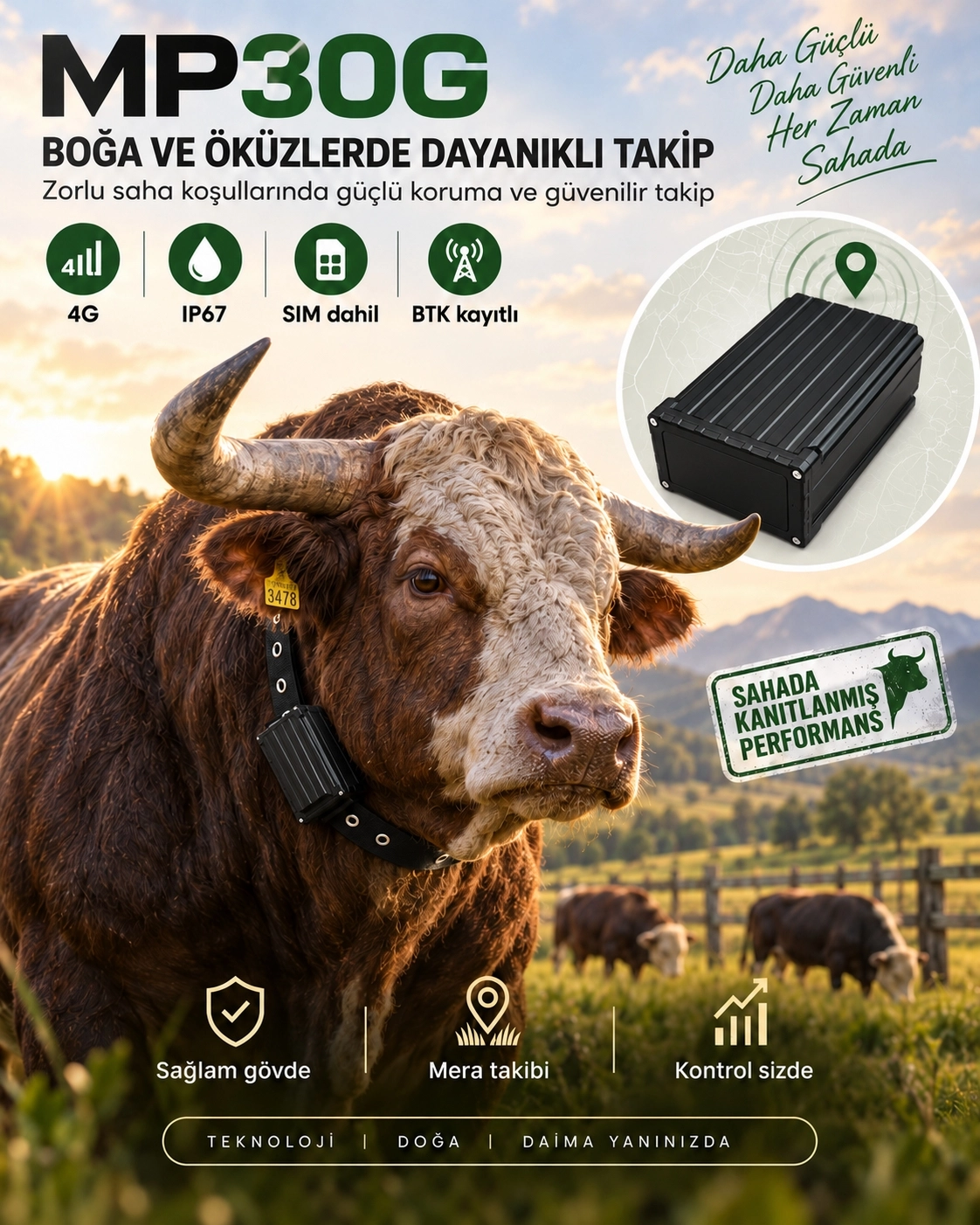 MiCODUS MP30G 4G Büyükbaş ve Küçükbaş Hayvan GPS Takip Cihazı | GpsGoPro