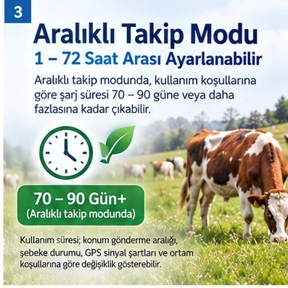 MiCODUS MP30G 4G Büyükbaş ve Küçükbaş Hayvan GPS Takip Cihazı | GpsGoPro