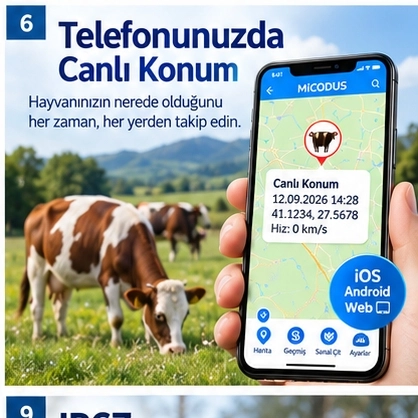MiCODUS MP30G 4G Büyükbaş ve Küçükbaş Hayvan GPS Takip Cihazı | GpsGoPro