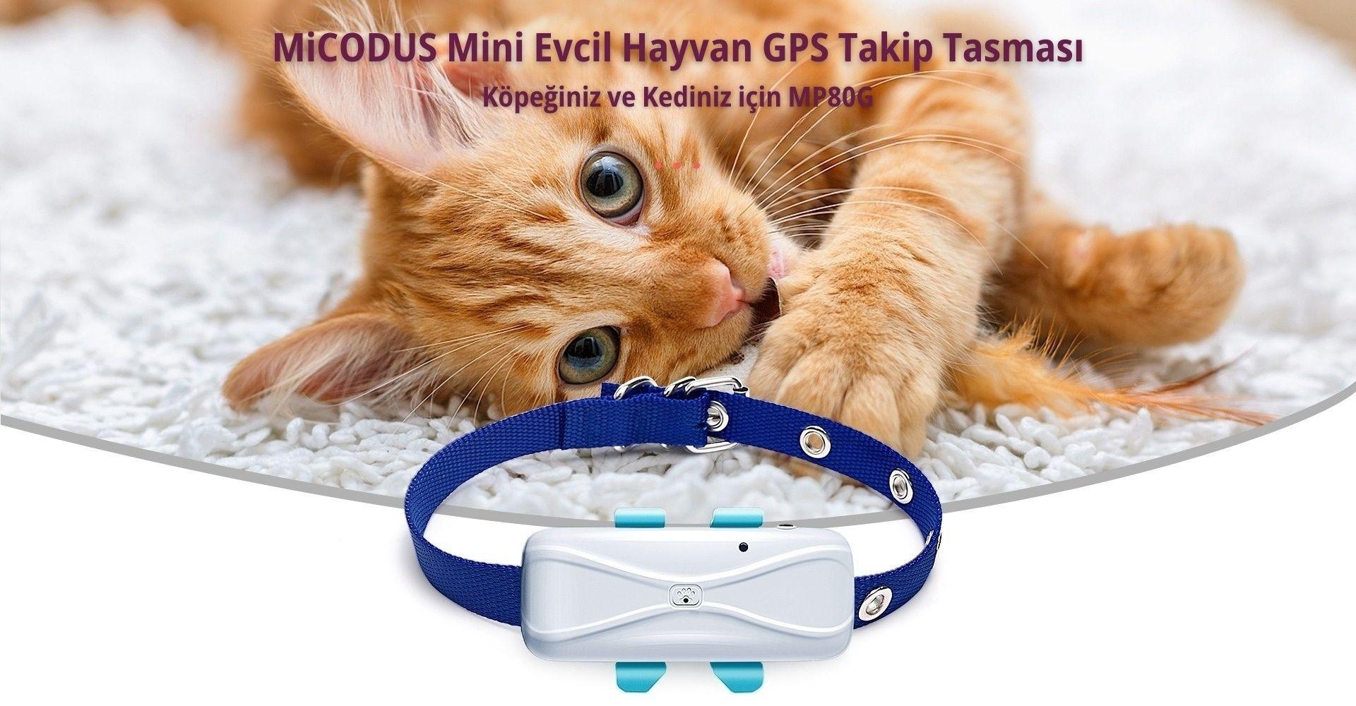 MP80G Evcil Hayvan GPS Uydu Takip Cihazı