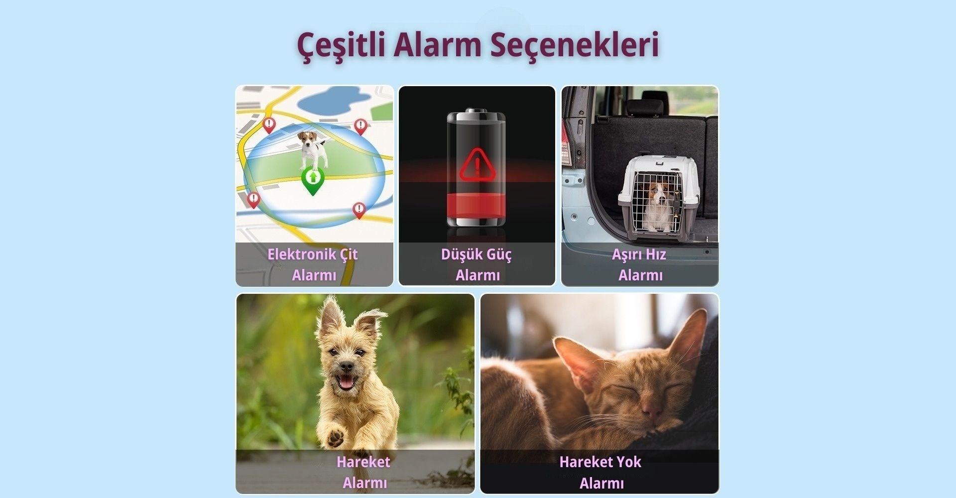 MP80G Evcil Hayvan GPS Uydu Takip Cihazı