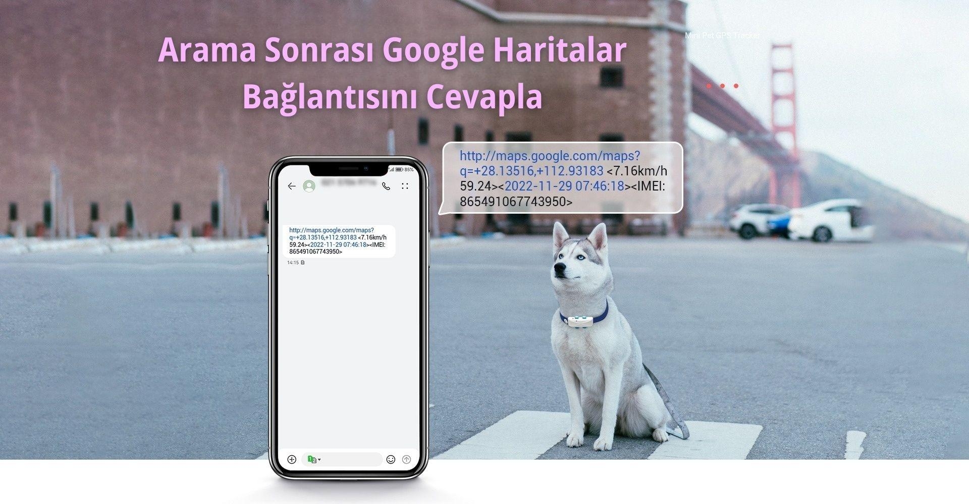 MP80G Evcil Hayvan GPS Uydu Takip Cihazı