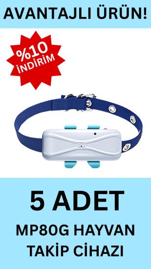 5x Micodus MP80G GPS Hayvan Takip Cihazı 