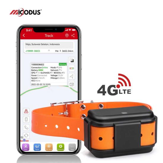 MP50G 12/24 GPS Hayvan Takip Cihazı